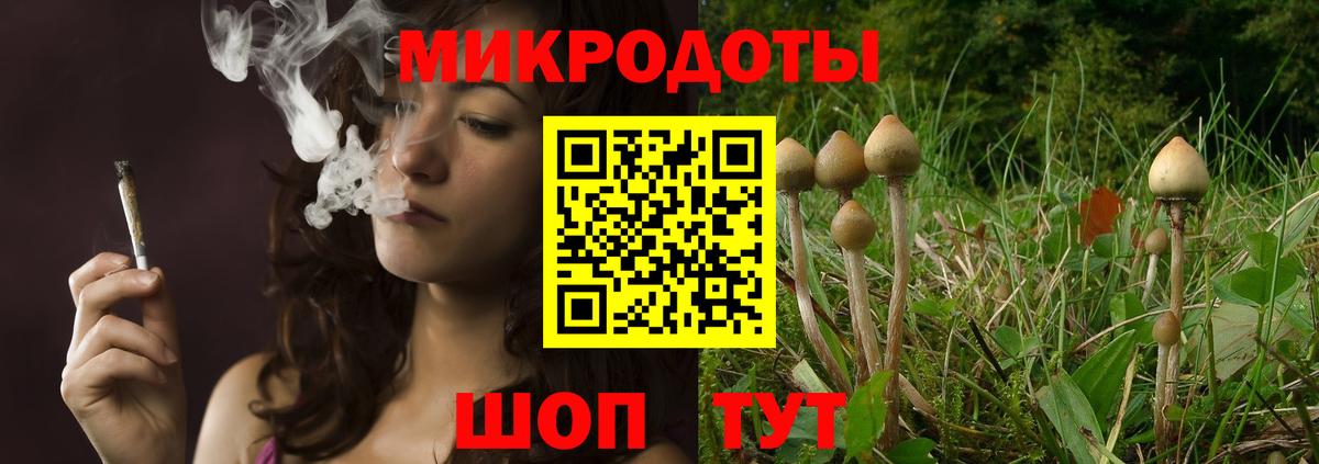 Псилоцибиновые грибы Cubensis Лангепас